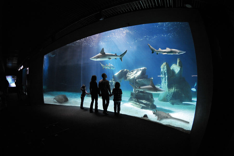 Biglietti acquario di genova