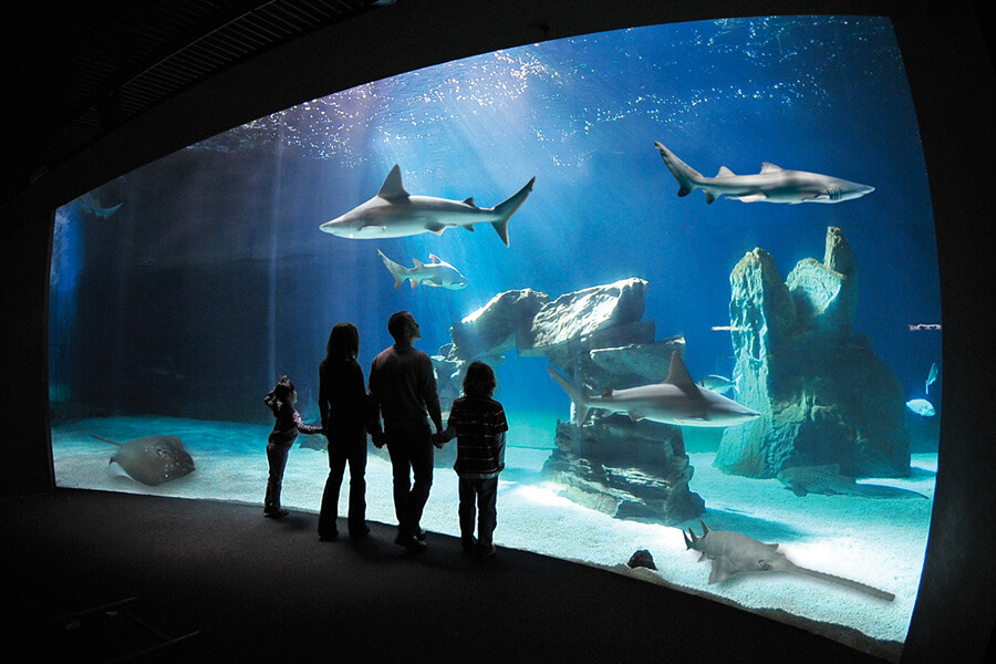 Acquario di Genova